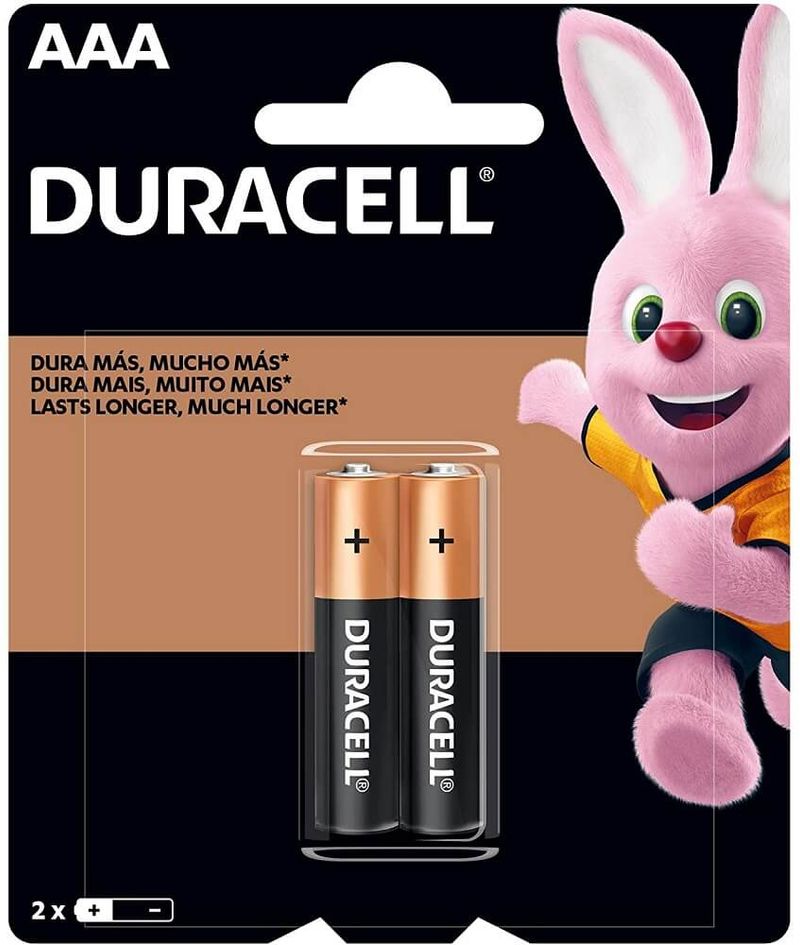 Pilha-Alcalina-AAA-Palito--2-und----DURACELL