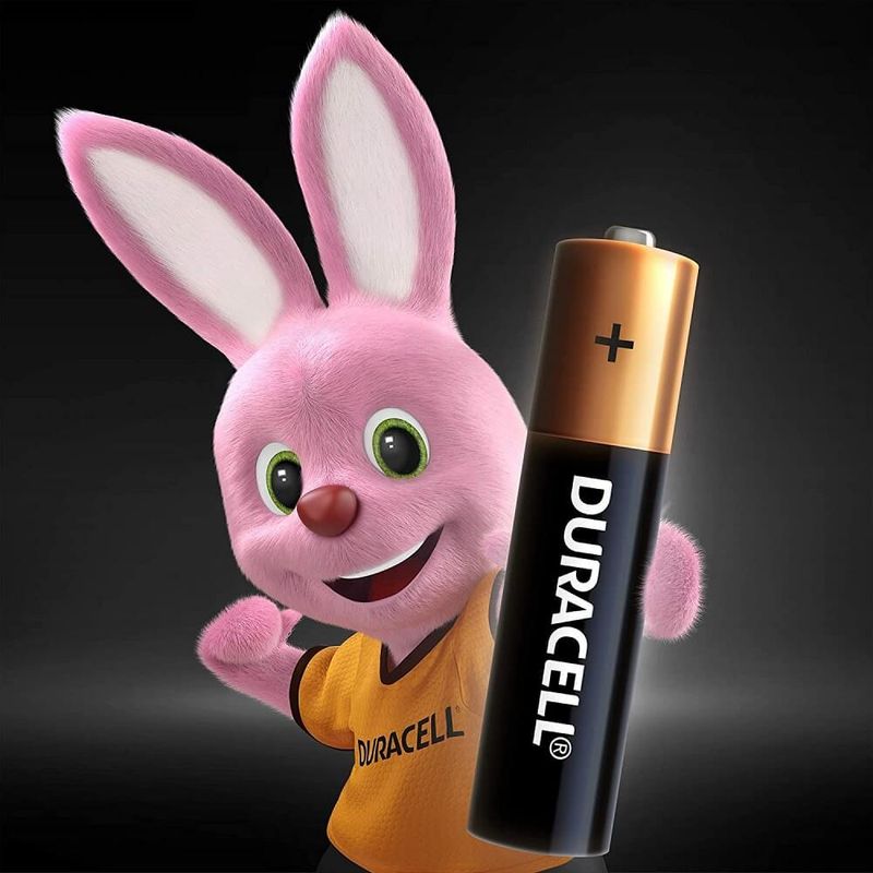 Pilha-Alcalina-AAA-Palito--2-und----DURACELL