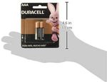 Pilha-Alcalina-AAA-Palito--2-und----DURACELL
