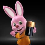 Pilha-Alcalina-D-Grande--2-und----DURACELL